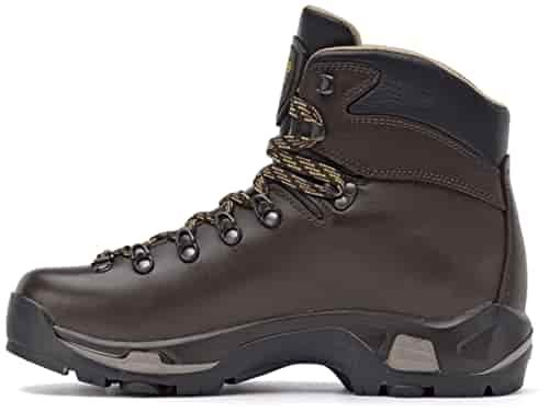 Asolo Men's TPS 520 GV EVO Long Distance, Backpacking, Trekking, Technical Terrian Hiking Boots (Chestnut, 10.5)