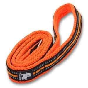 Chai's Choice Reflective Adventure Leash