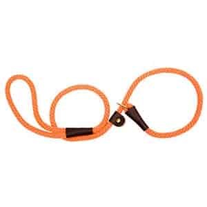 Mendota Slip Lead