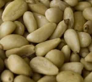 Pine Nuts