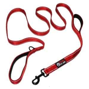 Primal Pet Gear 2 Handle Leash