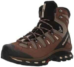 Salomon Quest 4D GTX Brown