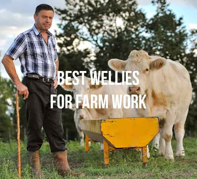10 Best wellies for farm work
