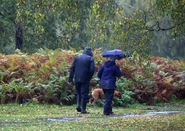 Best Waterproof Trousers for Dog Walkers