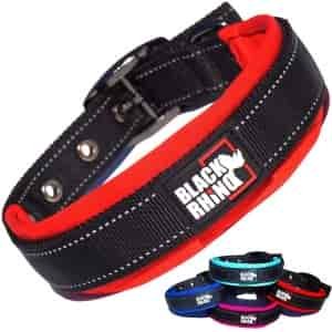 Black Rhino Neoprene Padded Dog Collar