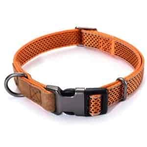 Mile High Life Reflective Nylon Dog Collar