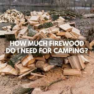 How Much Firewood Do I Need For Camping