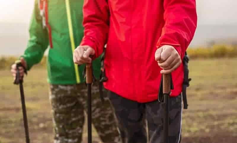 one trekking pole or two