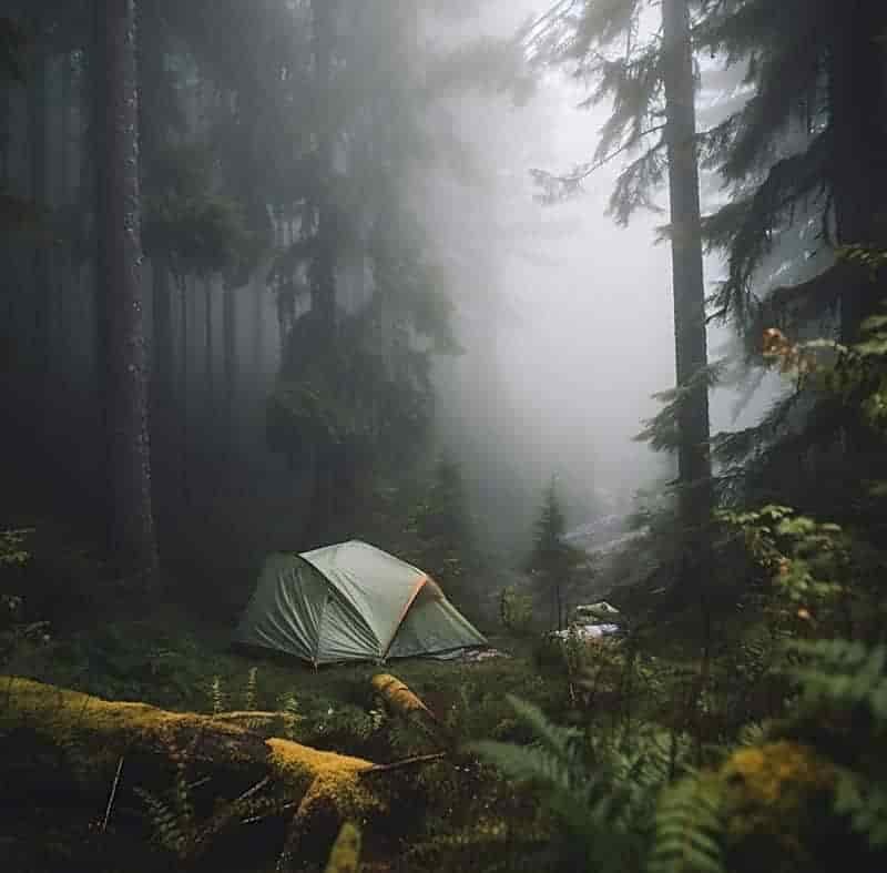 best tent for rain and wind