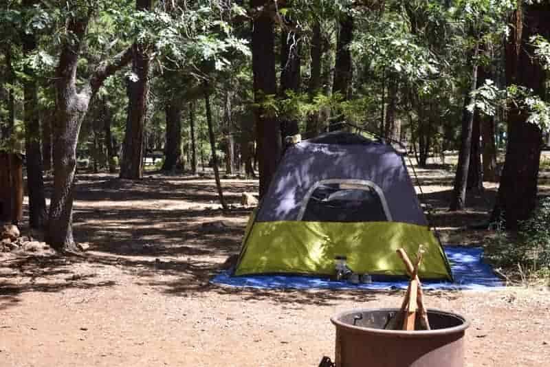 tent in natural blackout shade
